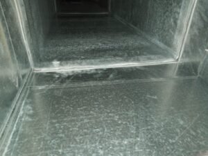 IMG-20240118-WA0016
